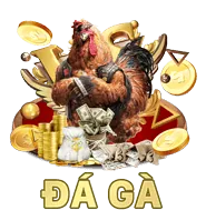 Hỗ trợ chat trực tuyến